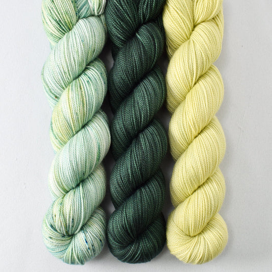 Aloe Vera, Dunk, and Lacewing - Miss Babs Yummy 2-Ply Trio