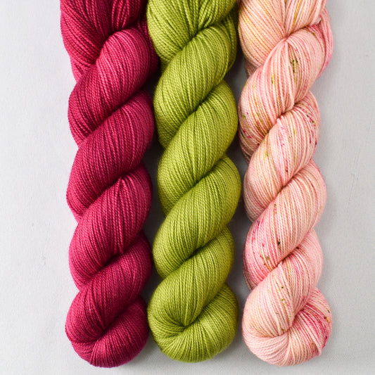 Aubusson, Hops, and Mellow Apricot - Miss Babs Yummy 2-Ply Trio