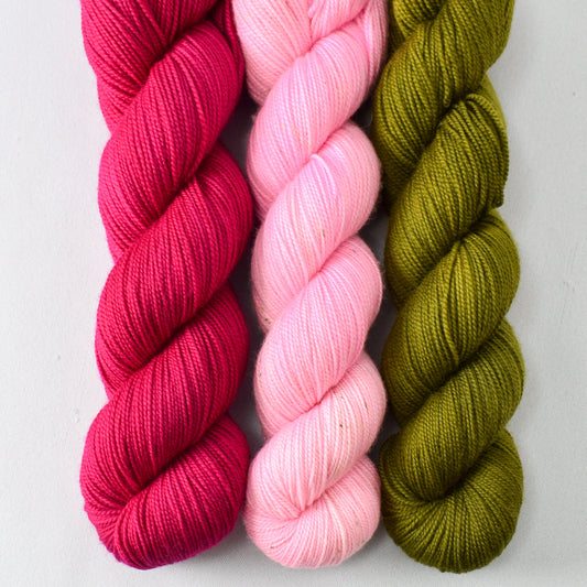 Cassiopeia, I Pink I Can, and Moss - Miss Babs Yummy 2-Ply Trio