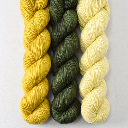 Cumin, Nori, and Rutile Quartz - Miss Babs Yummy 2-Ply Trio