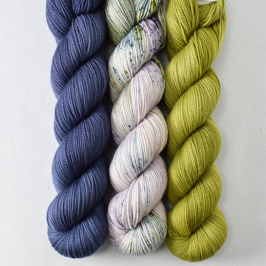 Dark Tanzanite, Morning Dream, and Oregano - Miss Babs Yummy 2-Ply Trio