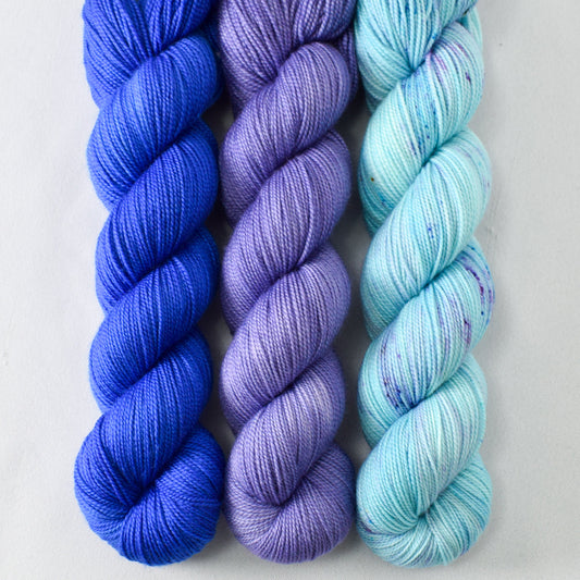 Dayflower, Leibe, and World in a Book - Miss Babs Yummy 2-Ply Trio