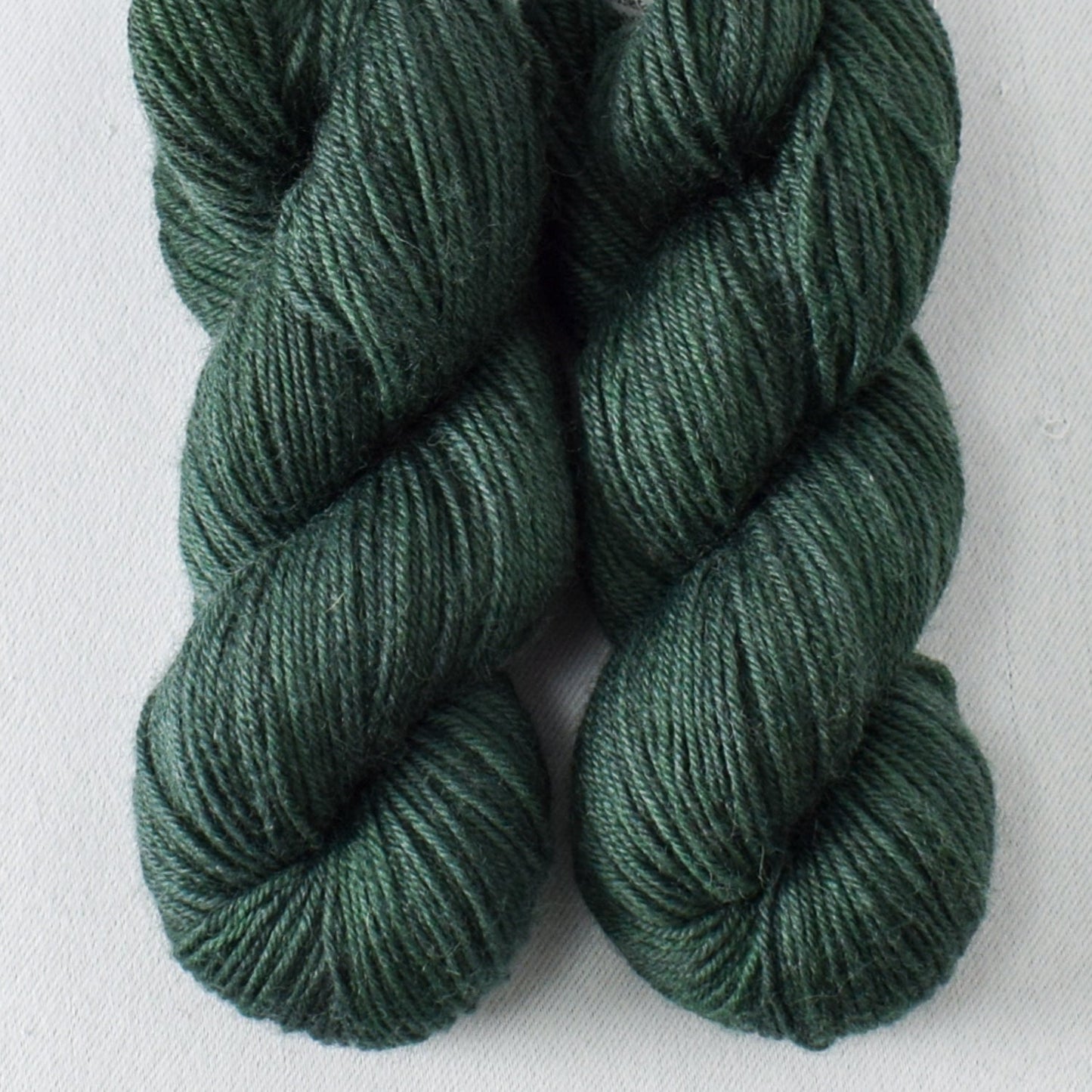 Dunk - Miss Babs Katahdin Toes yarn