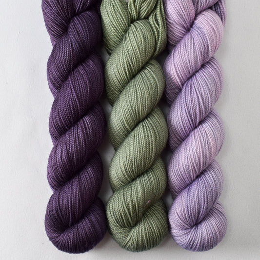 Dusk, Winsford Hill, and Sweet Jubilee Grapes - Miss Babs Yummy 2-Ply Trio