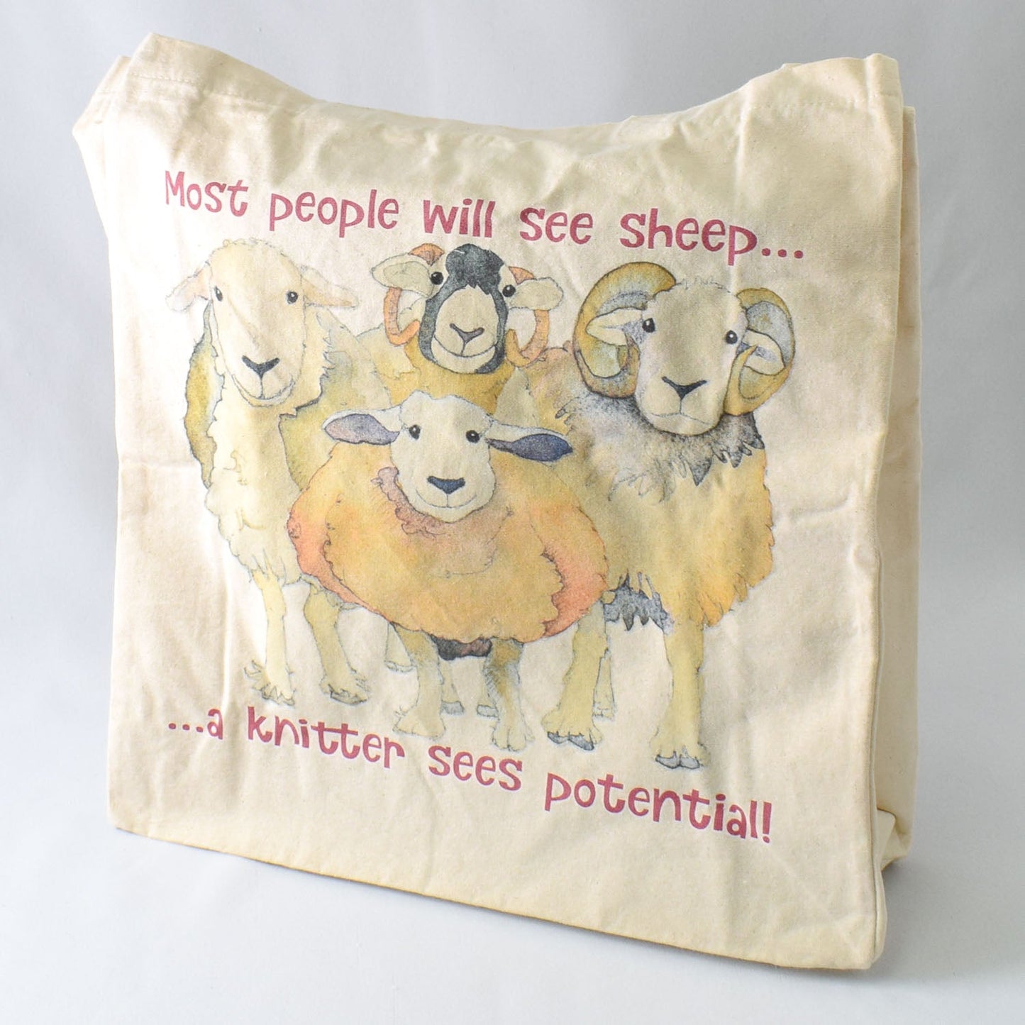 Emma Ball Sheep Potential Cotton Canvas Bag - Miss Babs Notions