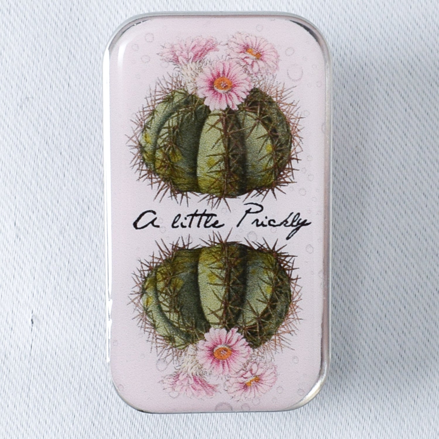 Firefly Notes Cactus Notions Tin - Small - Miss Babs Notions