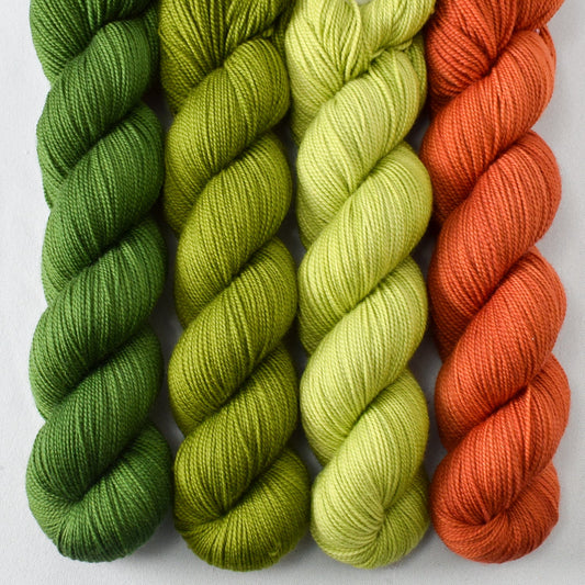 Herbalist, Dragon Claw, Aphid, and Cedar - Miss Babs Yummy 2-Ply Quartet