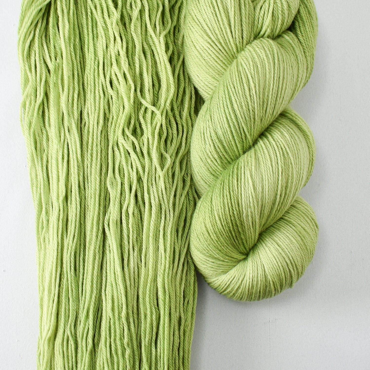 Inchworm - Miss Babs Yowza yarn