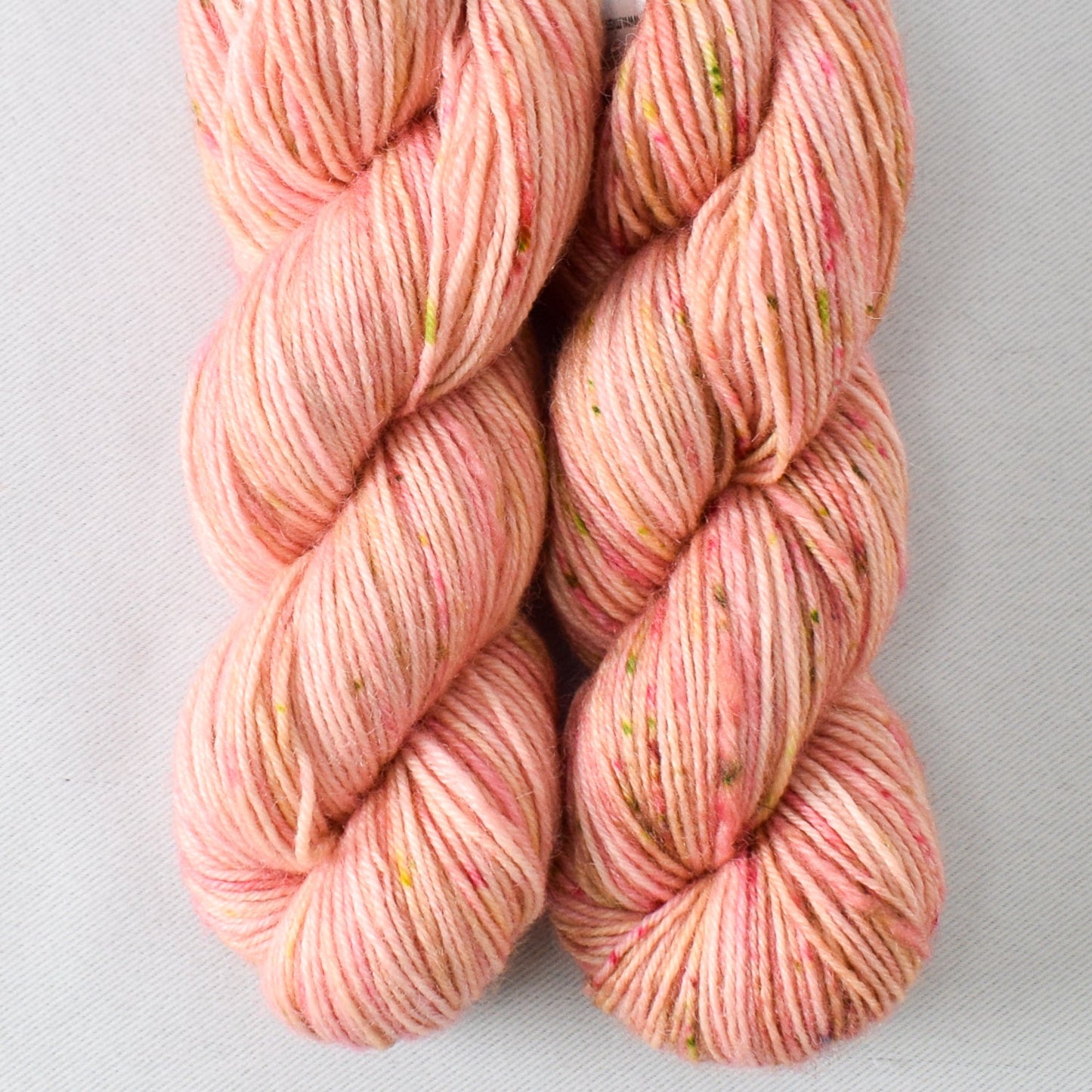 Mellow Apricot - Miss Babs Katahdin Toes yarn