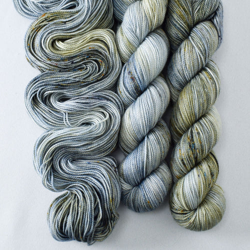 Migration - Yummy 2-Ply - Babette