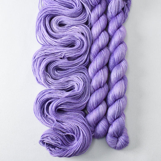 Monkshood - Miss Babs Sojourn yarn