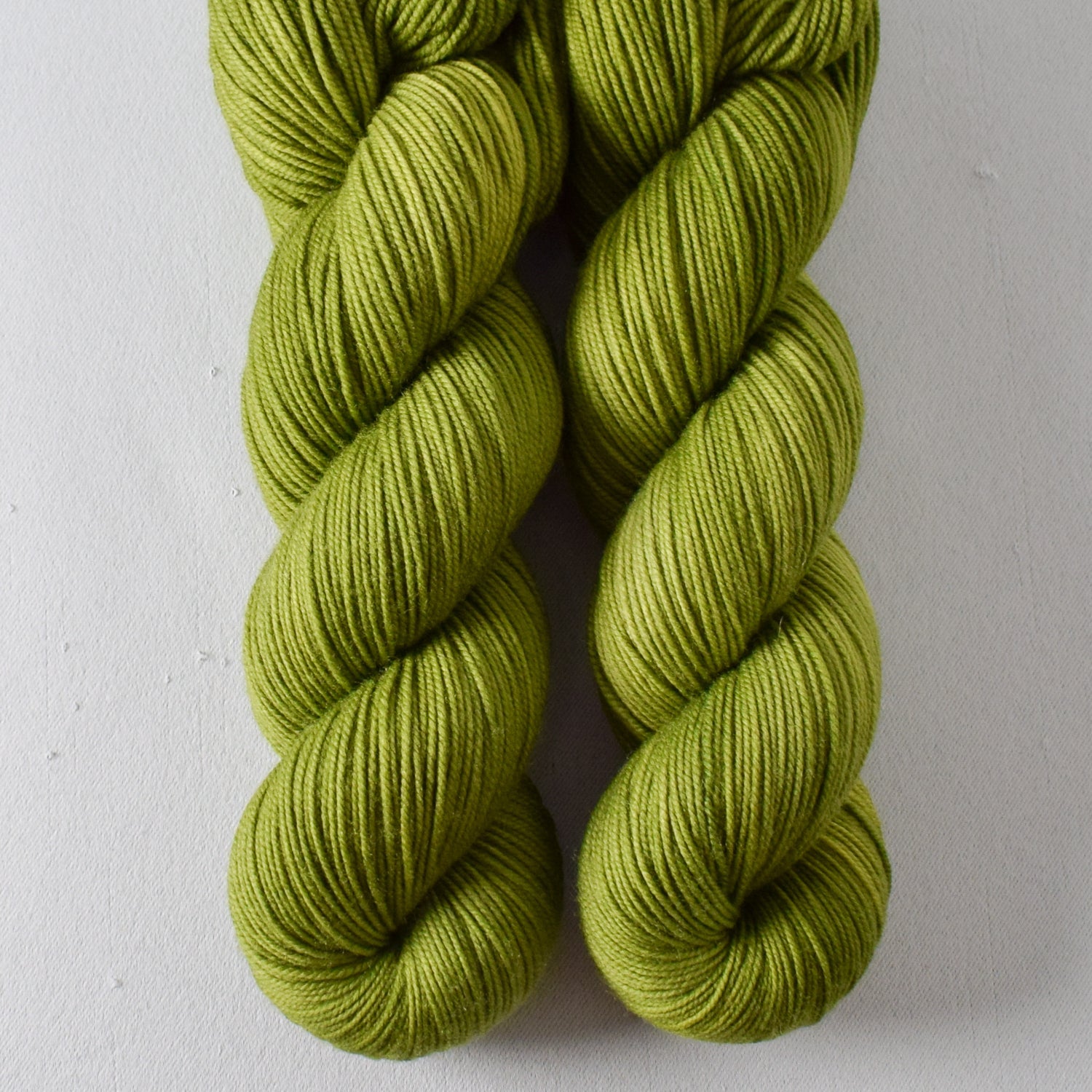 Rhizome - Miss Babs Laurel Falls yarn