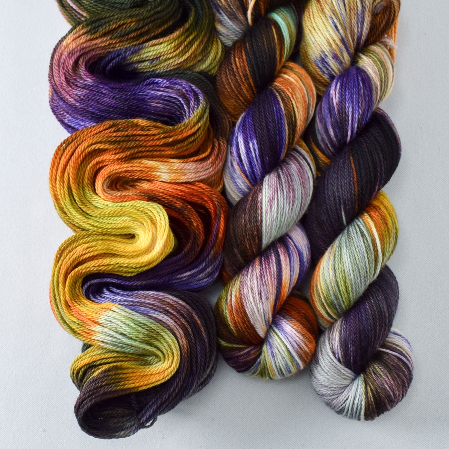 Salem's Lot - Miss Babs Caroline yarn