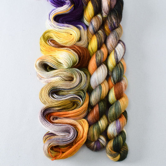 Salem's Lot - Miss Babs Sojourn yarn