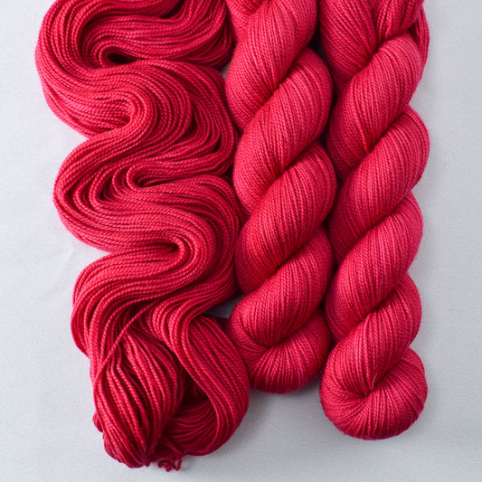 Scarlet Pimpernel - Yummy 2-Ply