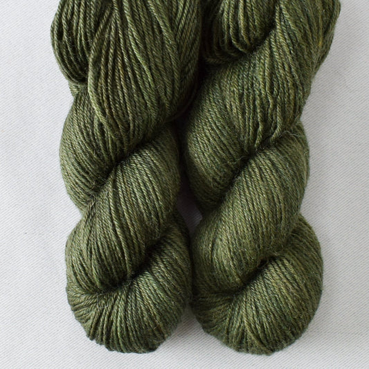 Sempervirens - Miss Babs Katahdin Toes yarn