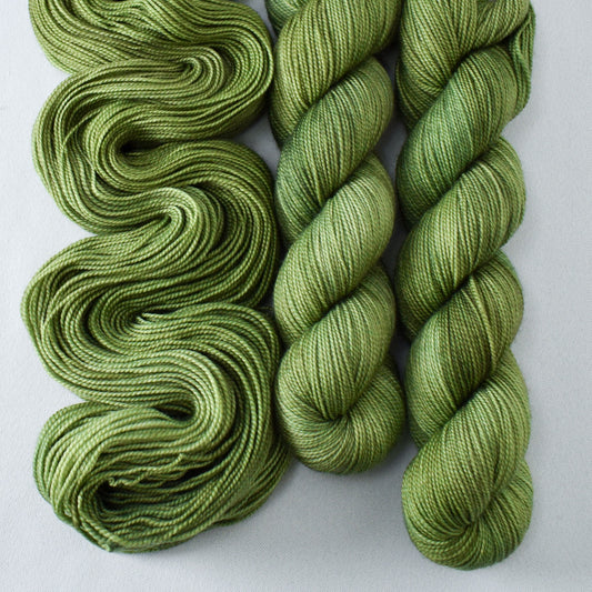 Snail - Yummy 2-Ply - Babette