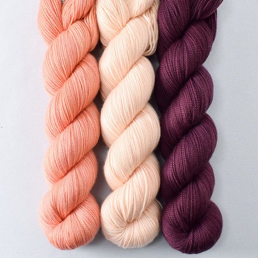 Wild Tulip, Sea Dragon, Cordovan - Miss Babs Yummy 2-Ply Trio