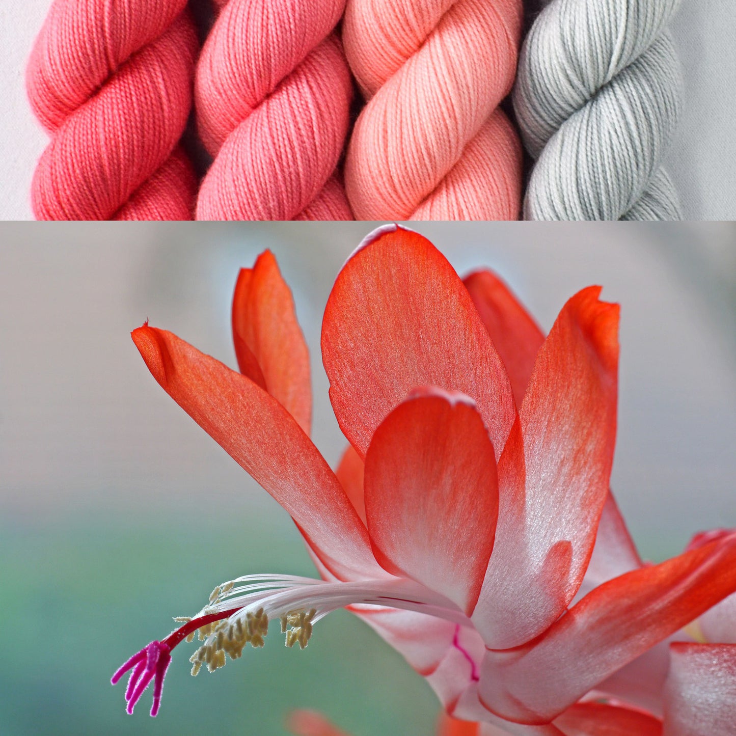 Bottle Ring, Chilean Flamingo, Frozen, Rhodochrosite - Yummy 2-Ply Quartet