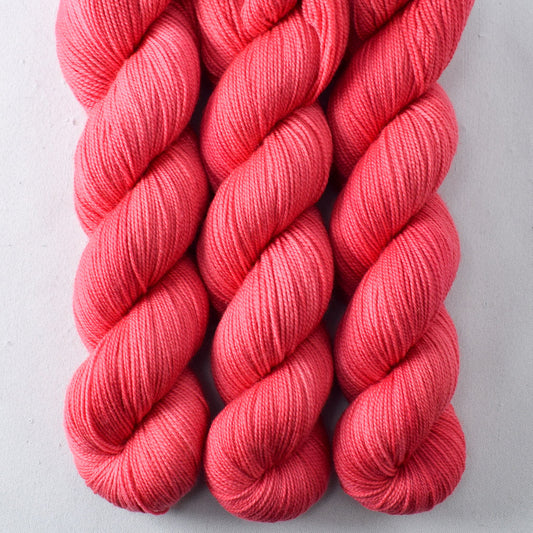 Chilean Flamingo - Yummy 2-Ply