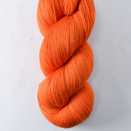 Persimmon - Miss Babs Katahdin yarn