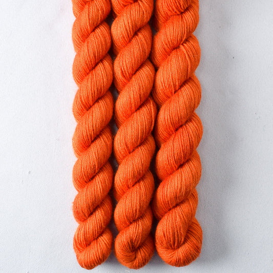 Persimmon Partial Skeins - Miss Babs Katahdin yarn