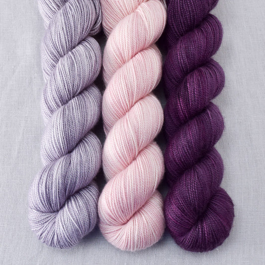 Provence, Sugar, Tulipa - Yummy 2-Ply Trio